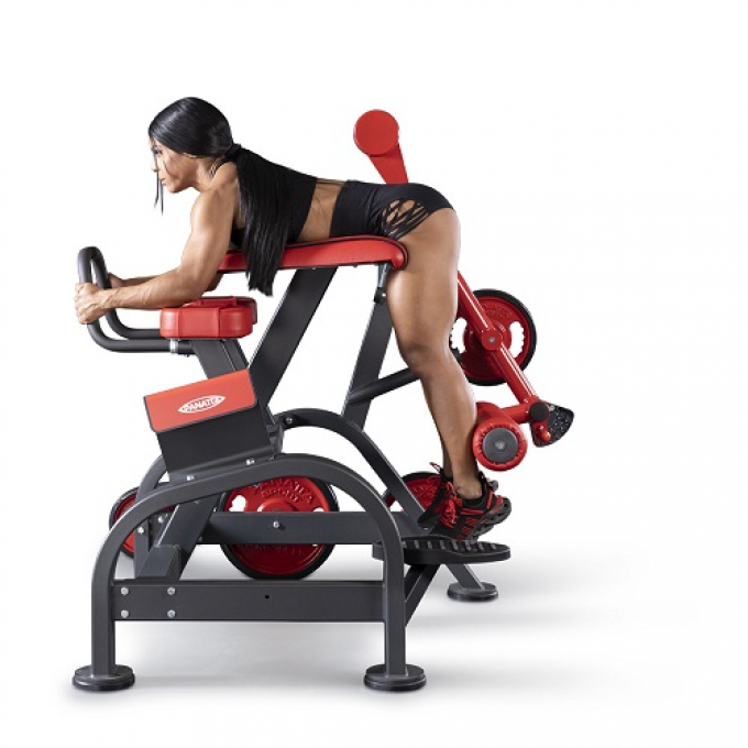 Гиперэкстензия обратная Reverse hyperextension 1FW096 Panatta