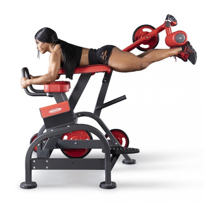 Гиперэкстензия обратная Reverse hyperextension 1FW096 Panatta